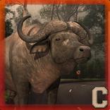 Combative Buffalo Simulator