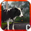 APK Cute Cow Simulator