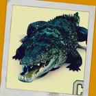 آیکون‌ Dangerous Crocodile Simulator