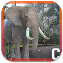 APK Big Elephant Simulator