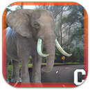 Big Elephant Simulator aplikacja