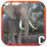 Grande elefante Simulator
