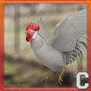 APK Gallo Rosso Simulator