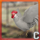APK Red Rooster Simulator