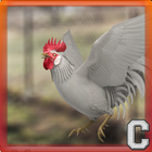 Red Rooster Simulator 아이콘