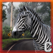 Nice Zebra Simulator