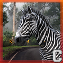 Nice Zebra Simulator-APK