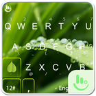 TouchPal Leaf Keyboard Theme biểu tượng