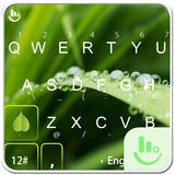 TouchPal Leaf Keyboard Theme biểu tượng