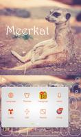 Cute Meerkat Keyboard Theme screenshot 1