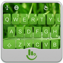Green Grassland Keyboard Theme APK