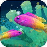 SAI Cuentos de los Ancestros 2