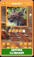 Animales: Cuestionario de animales en español ภาพหน้าจอ 3