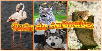 Poster Animales: Cuestionario de animales en español