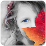 Color Splash أيقونة