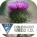 Colorado Noxious Weeds