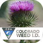 Icona Colorado Noxious Weeds