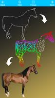 Dot To Dot To Animal Colouring screenshot 1