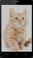 Pet Sandbox Color By Number Draw kitten Pixel Art capture d'écran 3