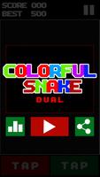Colorful Snake Dual Affiche