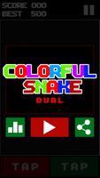 Colorful Snake Dual Poster