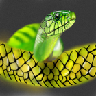 Colorful Snake Live Wallpaper icono