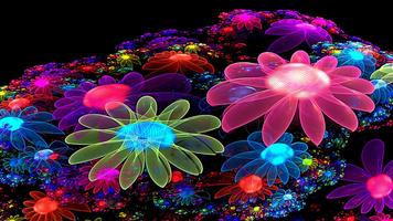 برنامه‌نما Colorful Wallpaper Pictures HD Images Free Photos عکس از صفحه