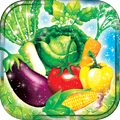 Vegetable Coloring Book
