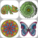 Coloring Books for Adults APK