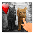 Pop Color Effects On Photo