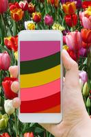 Colors LWP - Colors Adapting Live Wallpaper Free ภาพหน้าจอ 1