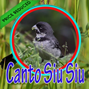 Canto De Tui Tui Complete Mp3 APK