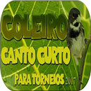 Coleiro Tui Tui Mestre APK