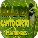 Coleiro Tui Tui Mestre APK