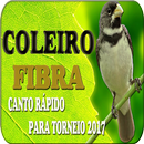 Coleiro Baiano APK