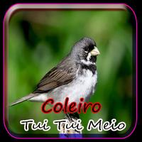 Coleiro Tui Tui Meio Canto Ekran Görüntüsü 3