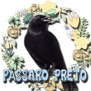 Pássaro Preto Canto Mateiro Mineiro APK