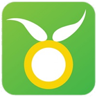 OliveMadeena icône
