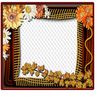 collection of the best and beautiful picture frame icône