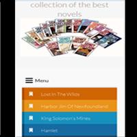 collection of the best novels الملصق