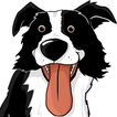 CollieMoji - Border Collie Emo