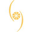 Collins Consulting icon