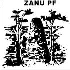 ZANU PF ikona