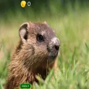 3D Groundhog Day Slots - FREE