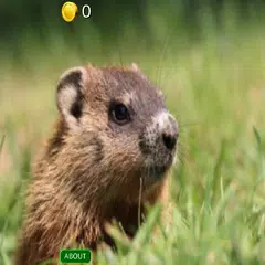 3D Groundhog Day Slots - FREE APK Herunterladen