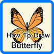 Draw Butterfly Step By Step