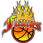 Rockingham Flames icône