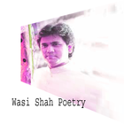 Wasi Shah Poetry Collection-icoon