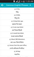 Common English Phrases captura de pantalla 1