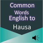 Common Words English to Hausa icône